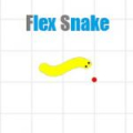 Flex Snake